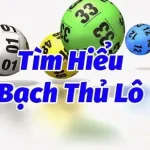 tim-hieu-bach-thu-lo-la-gi